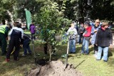 Kaziu, Dorota i Poziomka - uczniowie posadzili magnolie w parku Andersa
