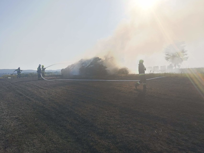 Strażacy gaszą pożar dużej sterty słomy