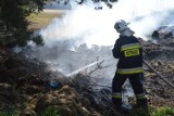 W hydrantach zabrakło wody do gaszenia lasu. Wiatr uratował sytuację [ZDJĘCIA, FILM]