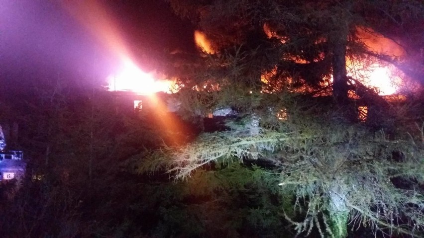 Pożar w Tarkowie Górnym. Czterdziestu strażaków walczyło z żywiołem  [zdjęcia od czytelnika]