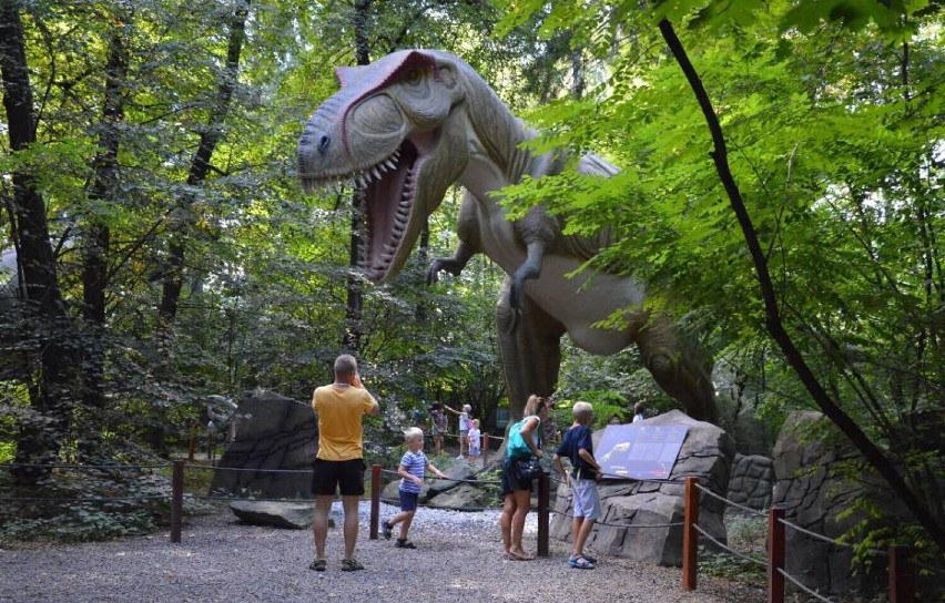 Park Zatorland w Zatorze

Największy w Europie Środkowej...