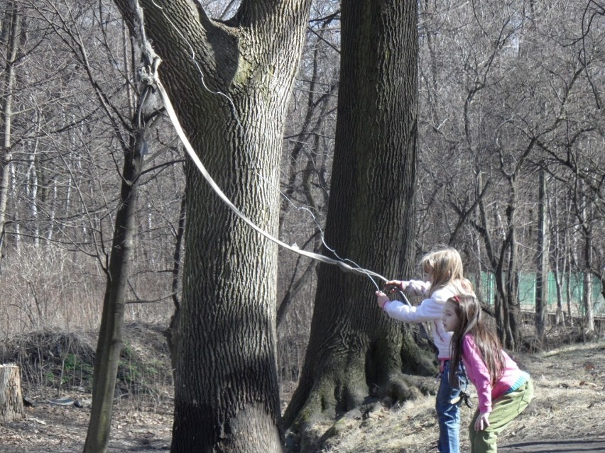 Dzieci bawią się w parku na linie zawieszonej na drzewie nad...