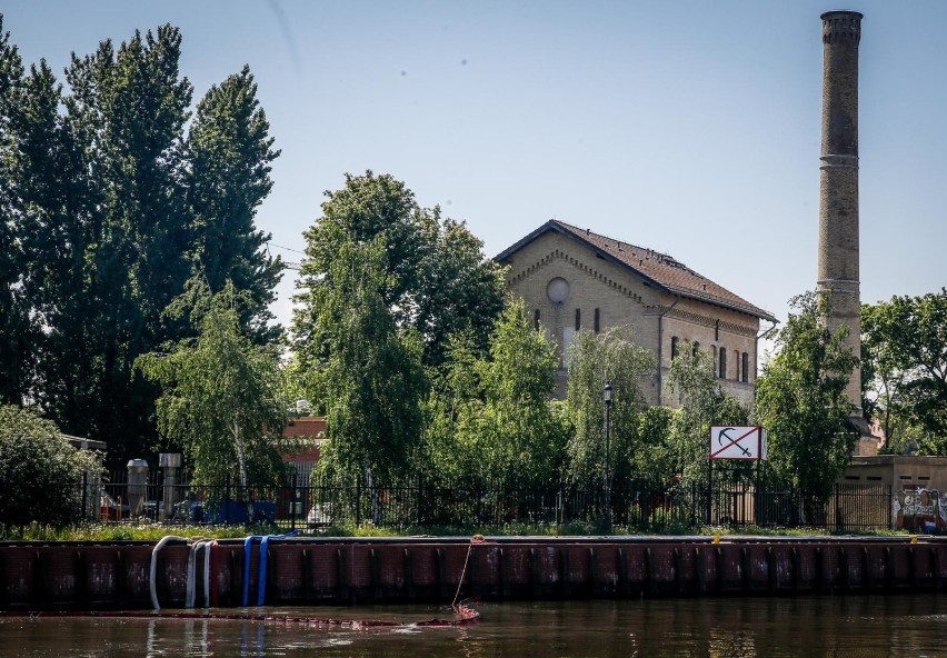 Zrzut ścieków nie spowodował istotnych zmian w środowisku...