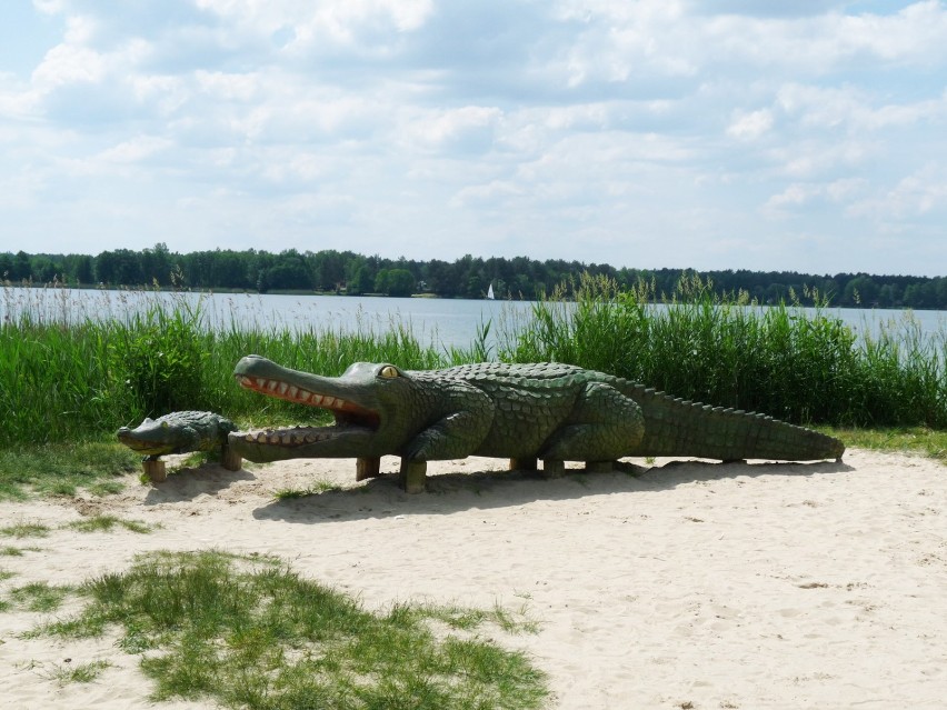 Z rzeźby krokodyla słynie Okuninka i jezioro Białe