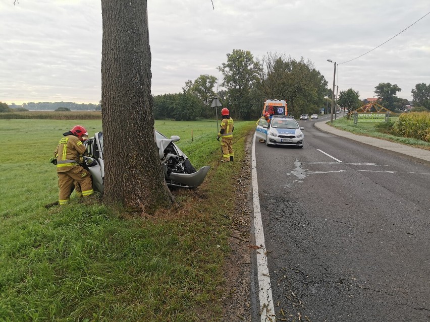 Gmina Kłecko. W niedzielny poranek samochód rozbił się na drzewie