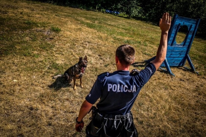 Kynologiczne Mistrzostwa Policji mają wyłonić najlepszych...