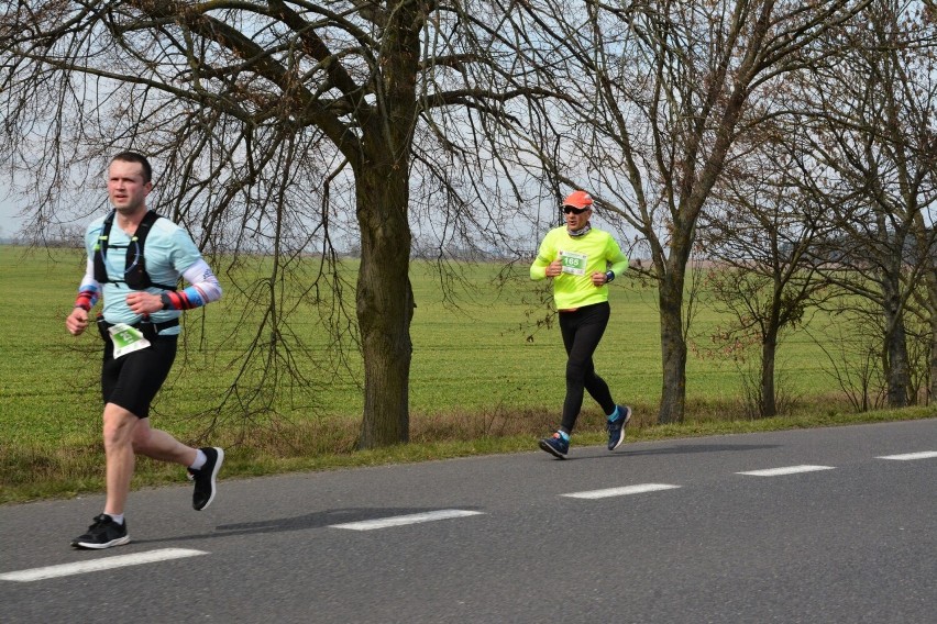 Półmaraton Świebody i Sulecha - 19 marca br.