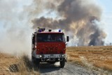 Potężny pożar zboża w Chróścinie Nyskiej. Akcja ratownicza prowadzona jest również z powietrza