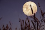 Pełnia Koźlego Księżyca już dziś! Kiedy i jak obserwować Koźli Księżyc? To będzie superpełnia