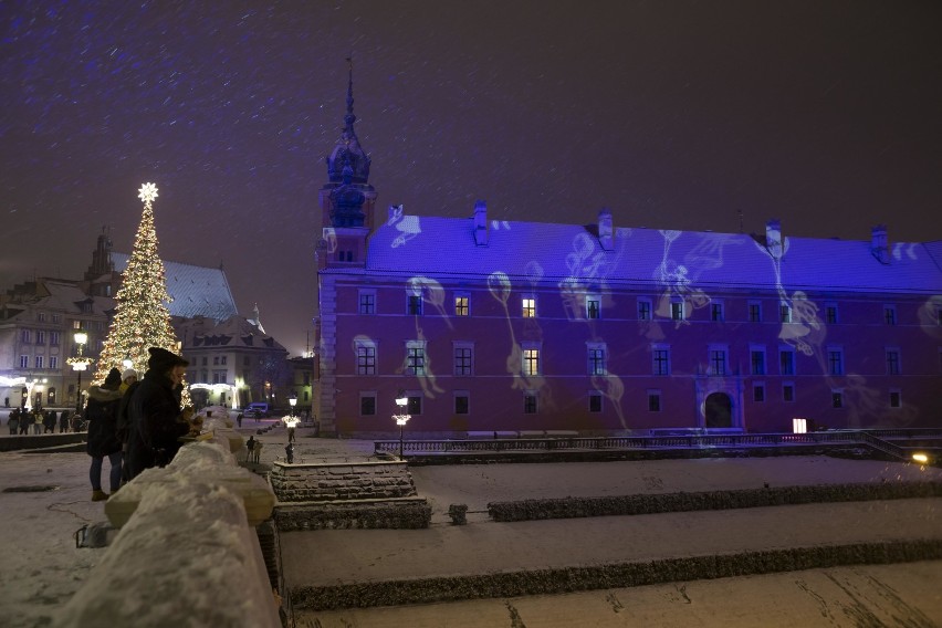 Pierwszy śnieg w Warszawie. Tak wyglądała stolica cała na biało 