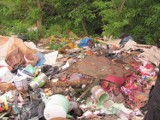 Gniezno: Góra śmieci na ulicy Gajowej. Wśród nich mnóstwo dokumentów