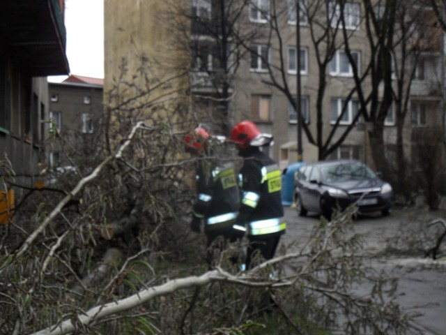 Straż pożarna w Mysłowicach miała pełne ręce roboty w weekend. Pięć razy wyjeżdżała do pozalonych drzew, raz do pożaru, dwa razy do podejrzenia wydobywania się tlenu węgla.