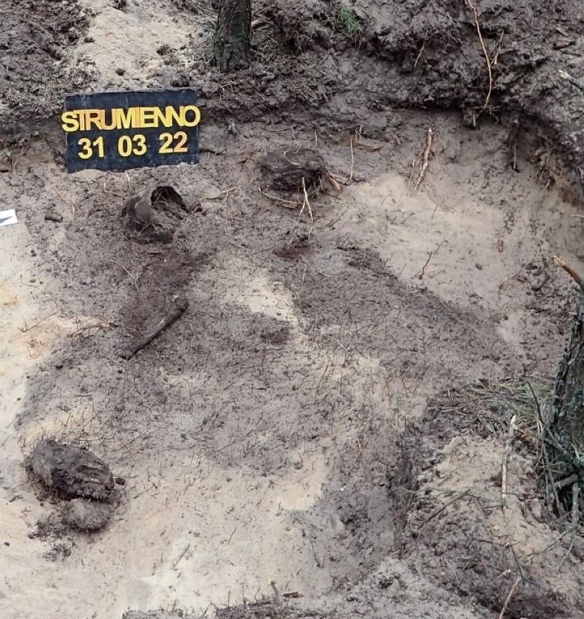 W okolicach miejscowości Strumienno odkryto szczątki...
