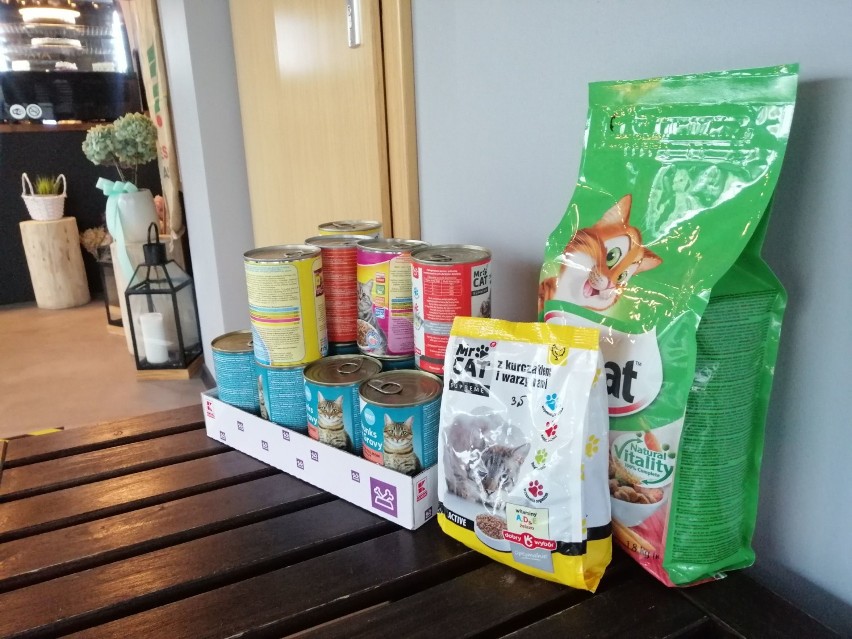 Kawa za puszkę karmy da kotów. Kawiarnia z Goleniowa wspiera Towarzystwo Opieki nad Zwierzętami