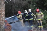 Pożar pustostanu w pobliżu ulicy Słonecznej w Gościcinie (28.06.2022) | ZDJĘCIA