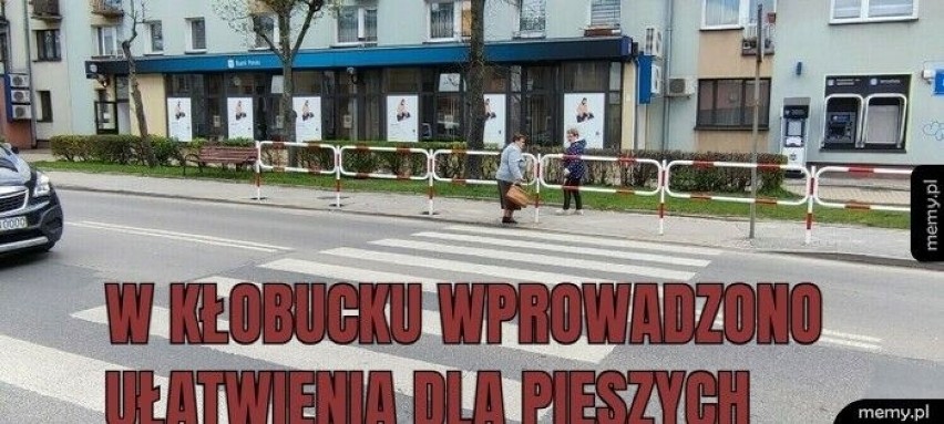 Beka z Częstochowy, Myszkowa, Kłobucka i Lublińca