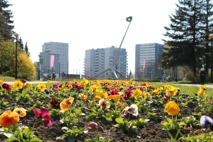 W Parku Śląskim pojawią się sezonowi dzierżawcy