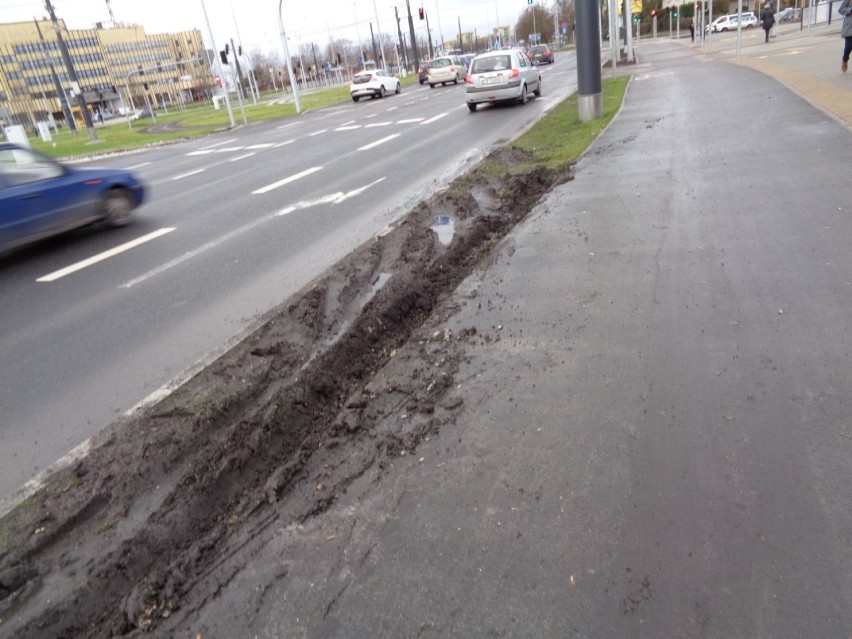 Rozjechany trawnik pomiędzy ścieżką rowerową a jezdnią