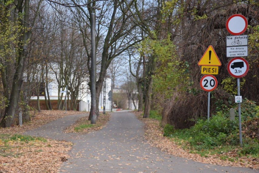 Najlepsze trasy do uprawiania sportu w Kaliszu. Ścieżki...