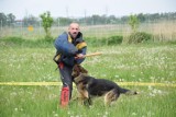 Policyjne psy z Małopolski rywalizowały o eliminacje do ogólnopolskich mistrzostw psów patrolowo-tropiących ZDJĘCIA