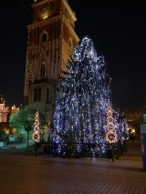 Kraków: rozświetlona choinka na Rynku Głównym