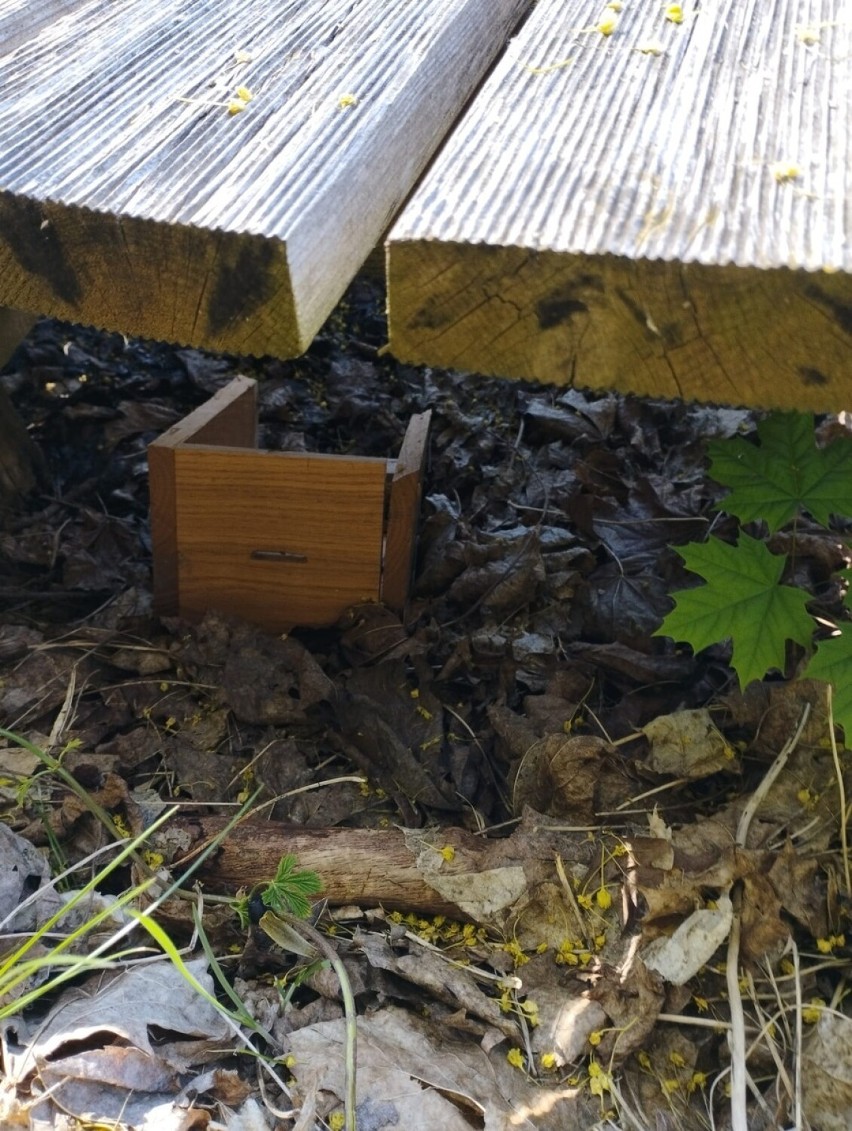 Ukradł skarbonkę z kościoła w Puńsku. Pieniędzy w środku było niewiele, ale kara może być wysoka 