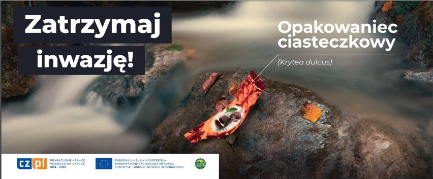 Zobacz kampanię czeskiego Karkonoskiego Parku Narodowego! Robi wrażenie! [ZDJĘCIA]