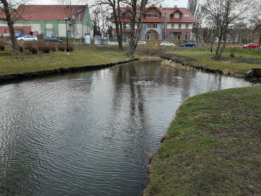 Wirtualny spacer po Parku Centralnym w Pruszczu Gdańskim