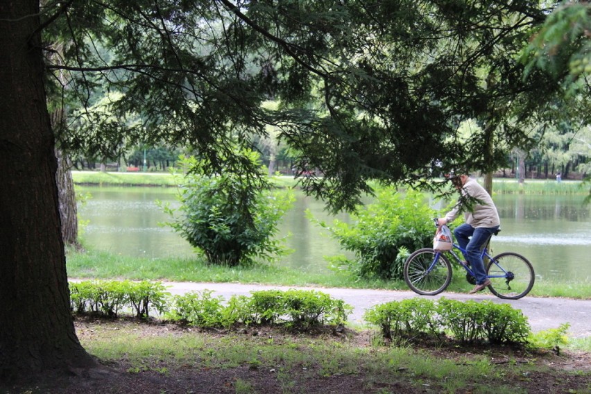 Park w Kazimierzu: zabawa, zwierzaki i piękne widoki [ZDJĘCIA]