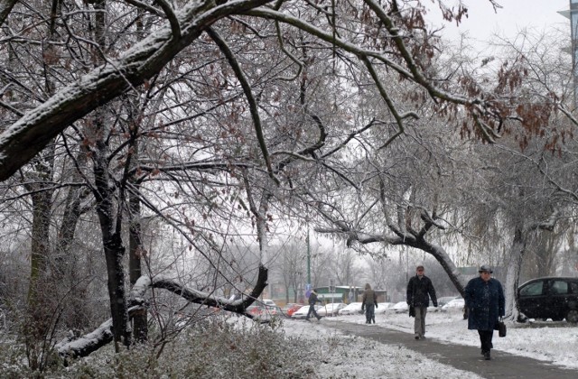 Czwartek będzie pochmurnym dzień. Polska znajduje się w zasięgu frontu atmosferycznego. Przejaśnienia będą pojawiać się na północy Polski. W południowych regionach pojawią się opady deszczu, a poza tym popada przelotny, zanikający śnieg. Temperatura maksymalna wyniesie od -4 °Cna Podlasiu do 5 stopni Celsjusza na Podkarpaciu. W centrum Polski około 3 °C.

PROGNOZA POGODY ZOBACZ WIDEO >>>>


...