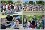 Piknik LZK w parku na Słodowie we Włocławku [zdęcia, wideo]