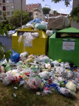 Problem ze śmieciami w Siechnicach. Będą kary dla spółki Remondis?