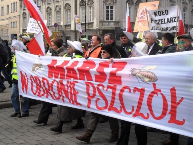 Demonstrujący chcieli zwr&oacute;cić uwagę na trudną sytuację polskiego pszczelarstwa.