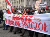 "Marsz w obronie pszczół" w Warszawie. Ludzkość jest zagrożona?