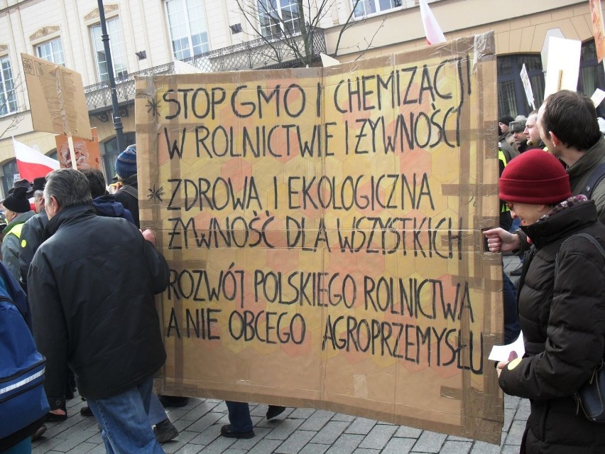 "Marsz w obronie pszczół" w Warszawie. Ludzkość jest zagrożona?