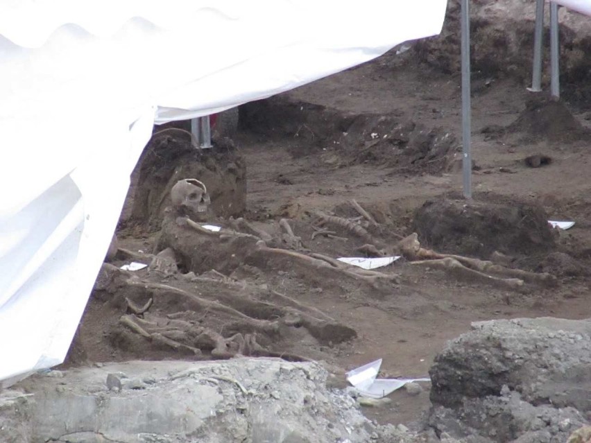 Kraków. Odsłania się tajemnica szkieletów z cmentarza odkrytego na Stradomiu  