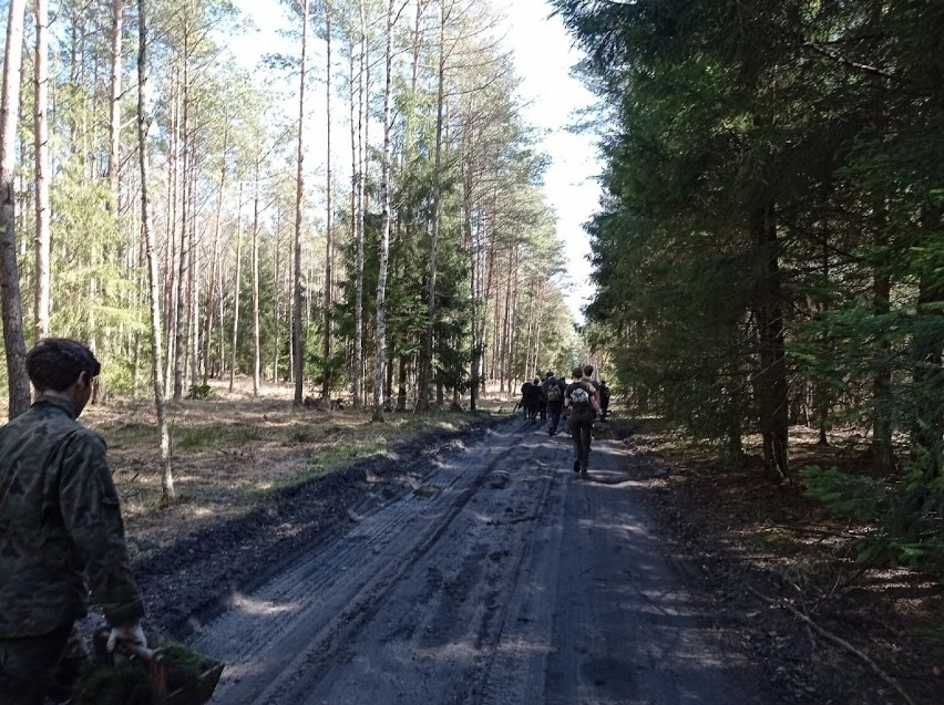 Uczniowie z Technikum Leśnego sadzą las w Nadleśnictwie Rytel [zdjęcia]