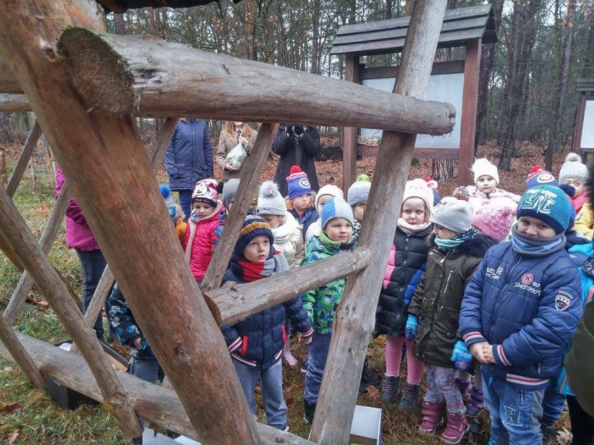 Pszczółki i Jagódki z Niepublicznego Przedszkola "Pod Muchomorkiem" w Zbąszynku, dokarmiają zwierzęta i ptaki