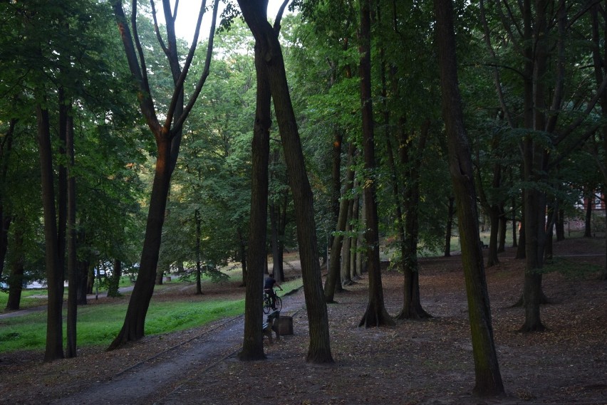 Park Tysiąclecia polubili też rowerzyści. Często można ich...