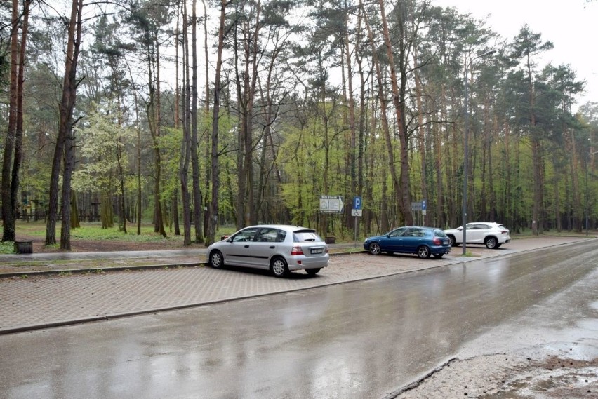 Niemal pusto w parkach i lasach. Deszcz mocno pokrzyżował plany na rekreację  [ZDJĘCIA] 