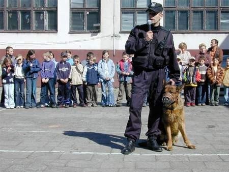 Demonstracja umiejętności Ledika, czworonożnego partnera st. sierż. Grzegorza Piołunkowskiego ze słupskiej policji wzbudziła zachwyt uczniów słupskiej &amp;#8222;szóstki&amp;#8221;