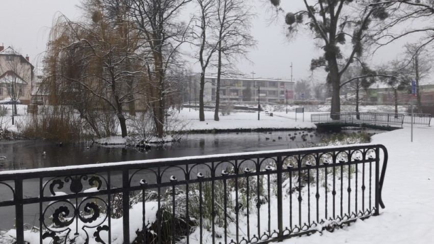 Pruszcz Gdański zimą. Przysypane śniegiem ulice i park tworzą zimowy klimat [ZDJĘCIA]