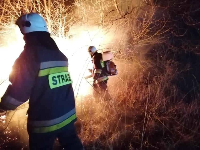 Ogromny pożar w Krygu. Strażacy walczyli z płonącą dwuhektarową łąką. Na miejscu działało kilkunastu ratowników