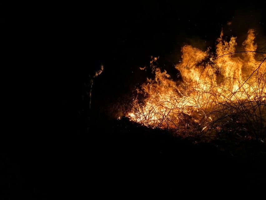 Ogromny pożar w Krygu. Strażacy walczyli z płonącą dwuhektarową łąką. Na miejscu działało kilkunastu ratowników