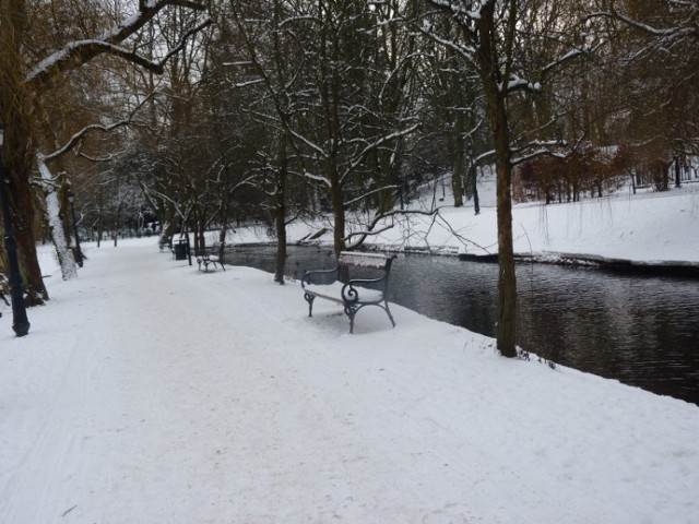 Koszaliński park w zimowej szacie