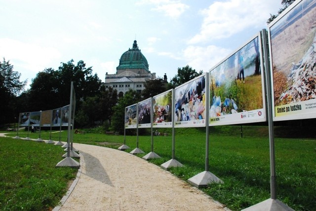 Wystawę można oglądać w parku przy MDK