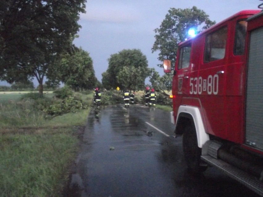 Prawie 100 interwencji strażaków z powodu wiatru