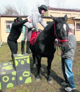 Zoopsycholog radzi: Dzieci i zwierzęta podczas ferii