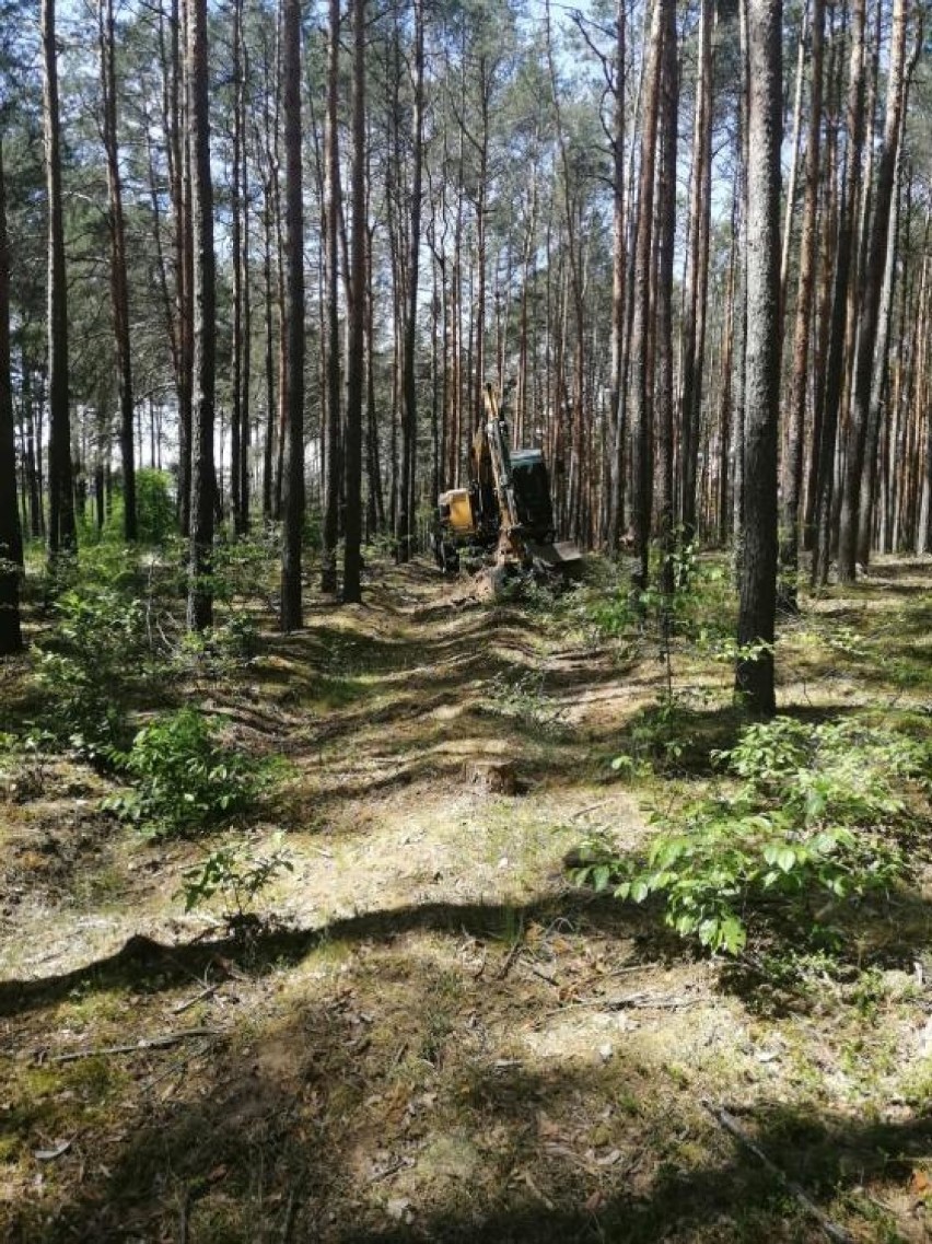 Nowa ścieżka rowerowa ma powstać do października