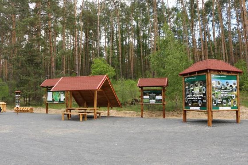 Nadleśnictwo Sława dba zarówno o turystykę jak i informację